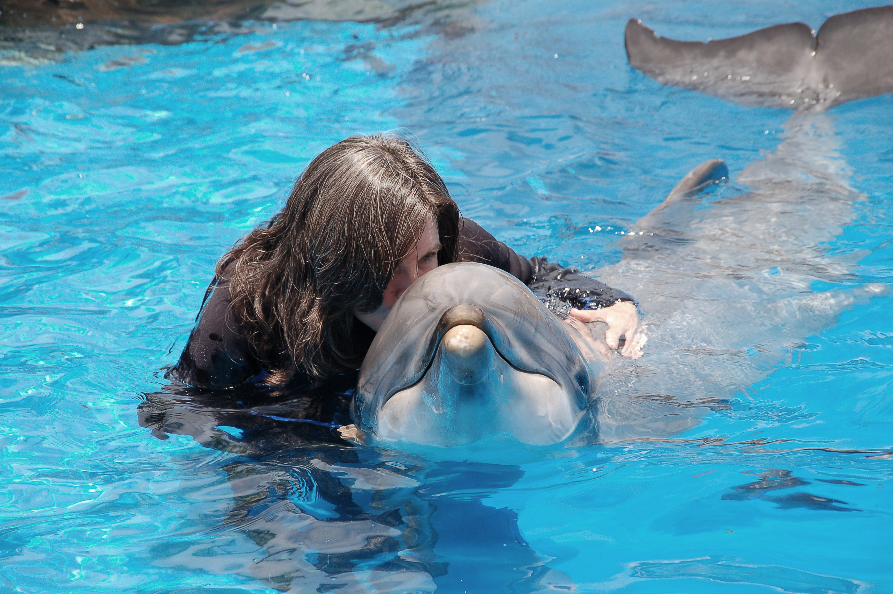Dr. Brunner visiting dolphins.