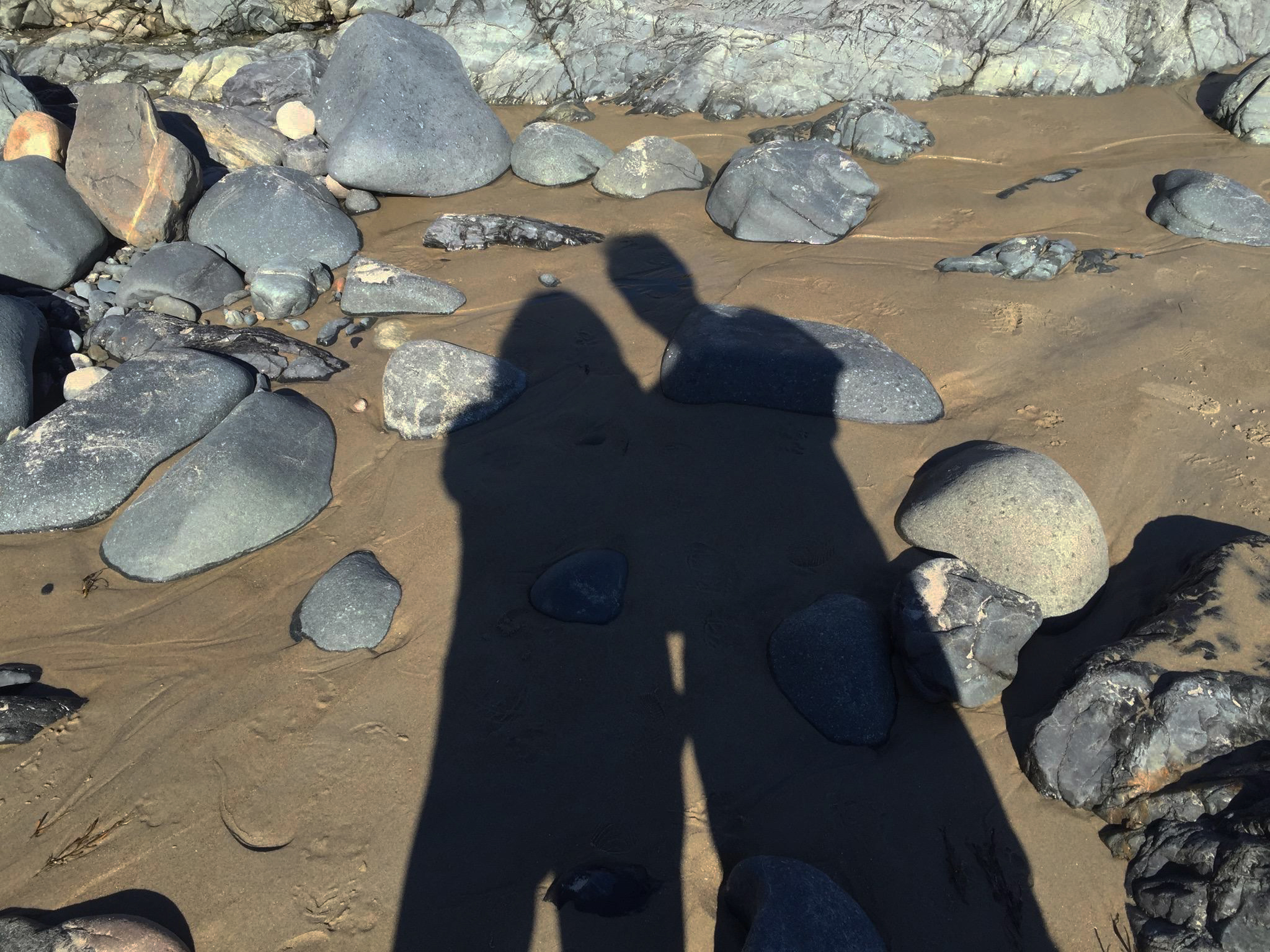 A couple's shadows on the beach.